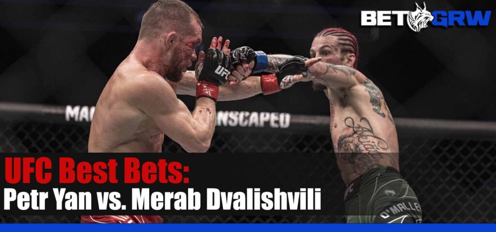 Petr Yan vs Merab Dvalishvili 3-11-23 UFC Pick, Odds and Analysis