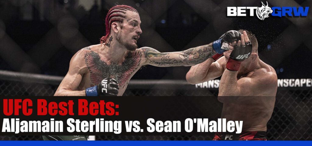 UFC 292 Aljamain Sterling vs. Sean O'Malley 8-19-23 Odds, Tips, and Picks