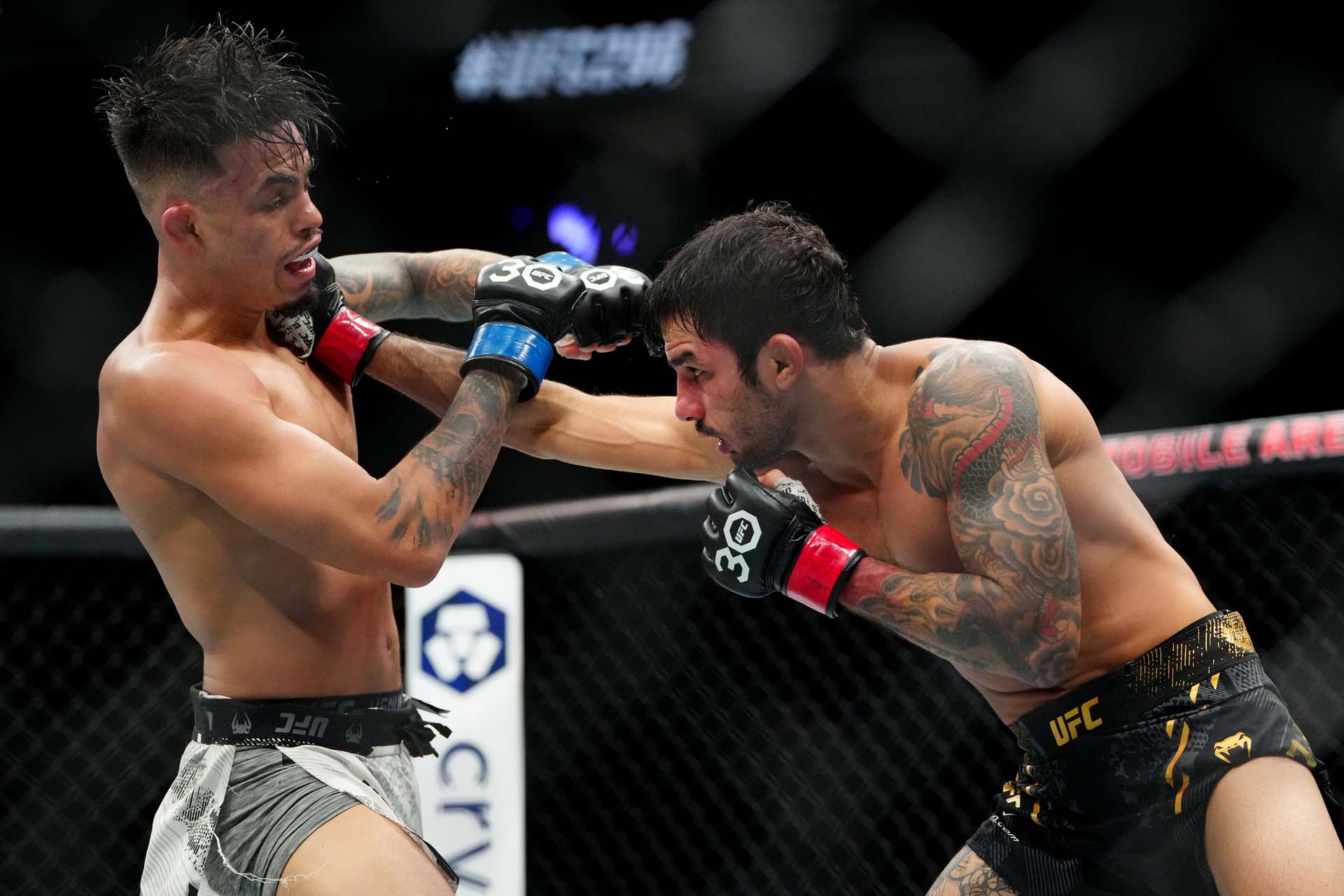 Alexandre Pantoja vs. Steve Erceg UFC 301 Betting Picks and Prediction